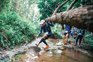 BIB: 
                            <button type="button" onclick="openModal(25375276)" class="btn btn-primary btn-sm float-right btn-popup" data-toggle="modal" data-target=".modal-high-quality">
                        <i class="fas fa-shopping-cart"></i> Add to Cart
                    </button>
                                            <button type="button" onclick="isThisMe(25375276, true)" class="btn btn-success btn-sm float-right btn-popup btn-isme hidden" data-toggle="tooltip" data-placement="bottom" title="นี่คือรูปของคุณใช่ไหม คลิกที่นี่เพื่อเอาเข้าอัลบั้ม">
                        <i class="fas fa-plus"></i> Add to album
                    </button>
                    <button type="button" onclick="isThisMe(25375276, false)" class="btn btn-warning btn-sm float-right btn-popup btn-isnotme hidden">
                        <i class="fas fa-ban"></i> Remove from album
                    </button>